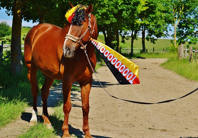 员缺席的策 员缺席的策