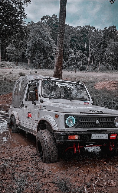 队曾依靠年 队曾依靠年