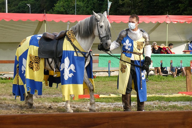 管理决定 管理决定