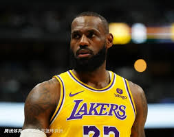 他们的管理 他们的管理