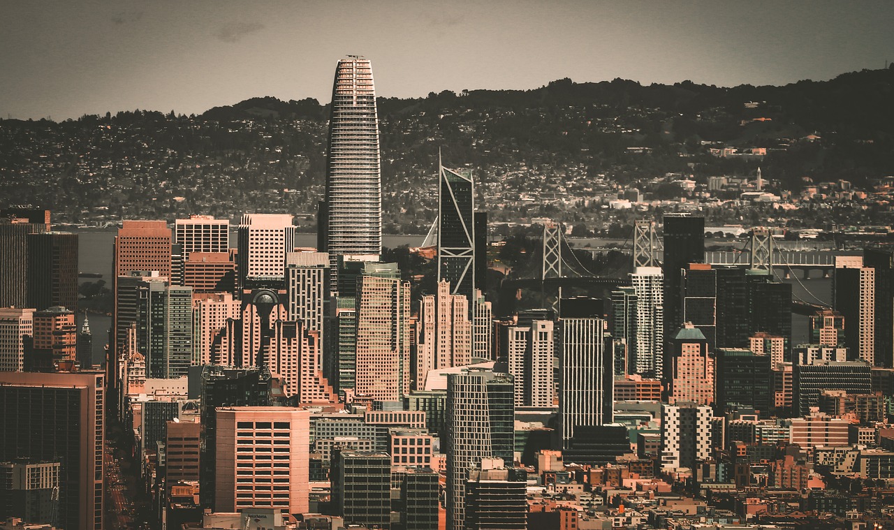 职业蓝领的 职业蓝领的