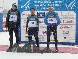 略是否存在 略是否存在