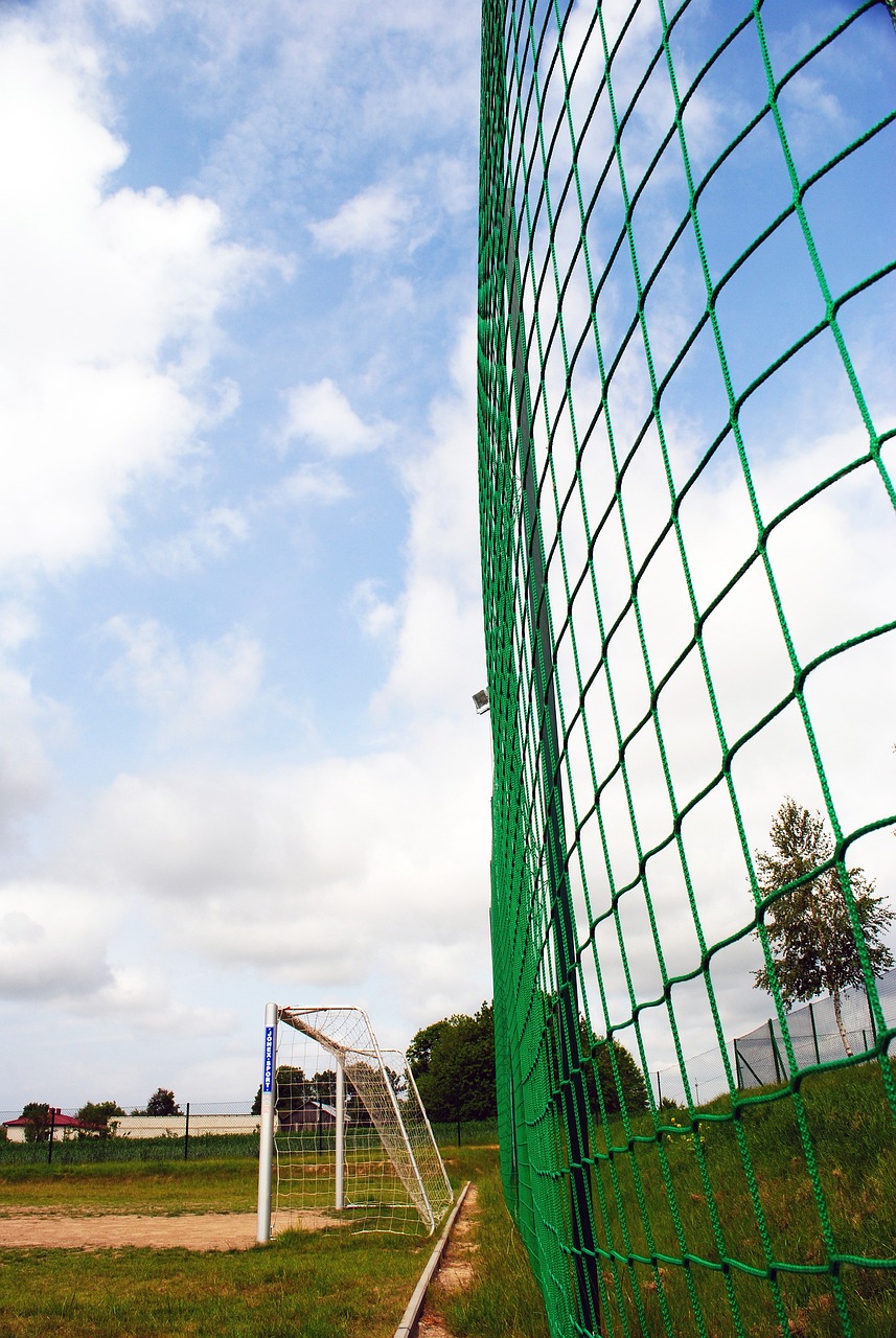 但这个成绩 但这个成绩