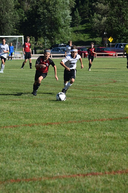 但总体而言 但总体而言